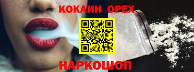 молекула духа Новозыбков