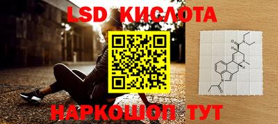 молекула духа Новозыбков