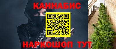молекула духа Новозыбков