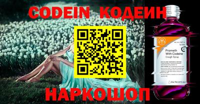 молекула духа Новозыбков