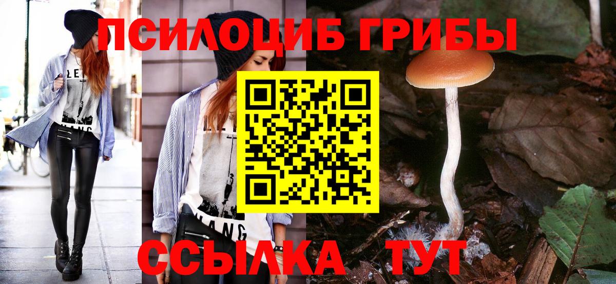 Бутират Сочи