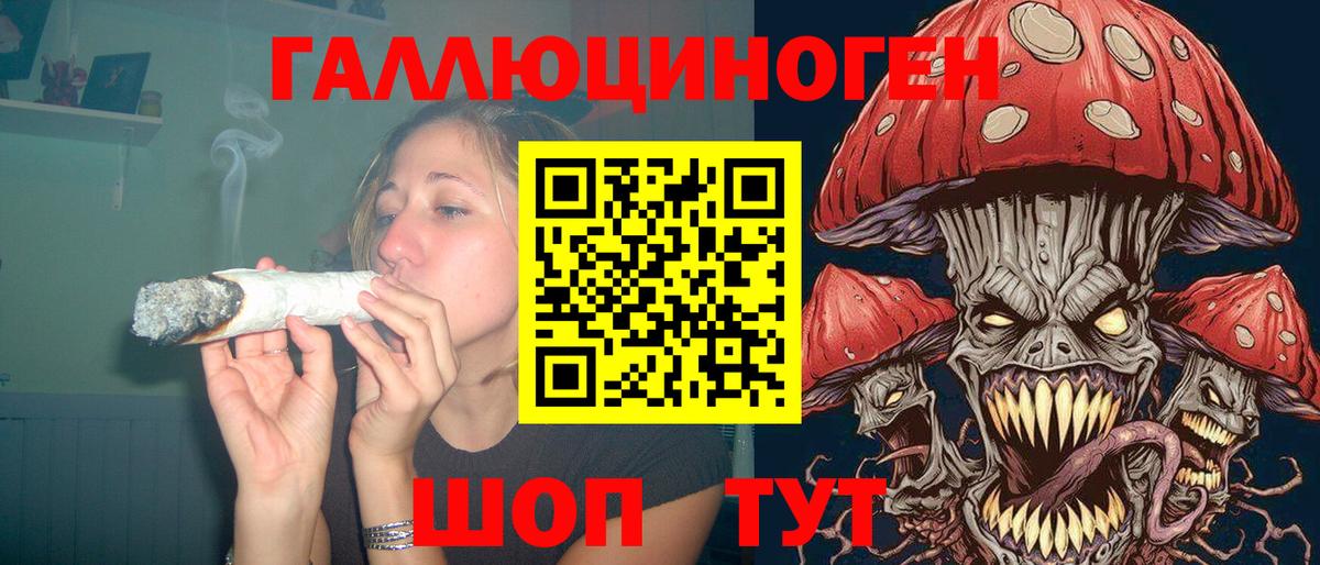 Галлюциногенные грибы GOLDEN TEACHER Сочи