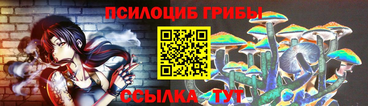 купить наркотик  Псилоцибиновые грибы Cubensis  Вход с VPN  Сочи 