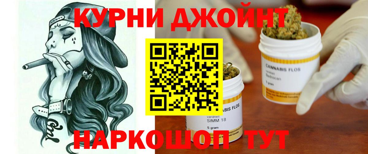 Конопля гибрид Сочи